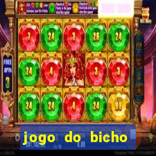 jogo do bicho crash bingo